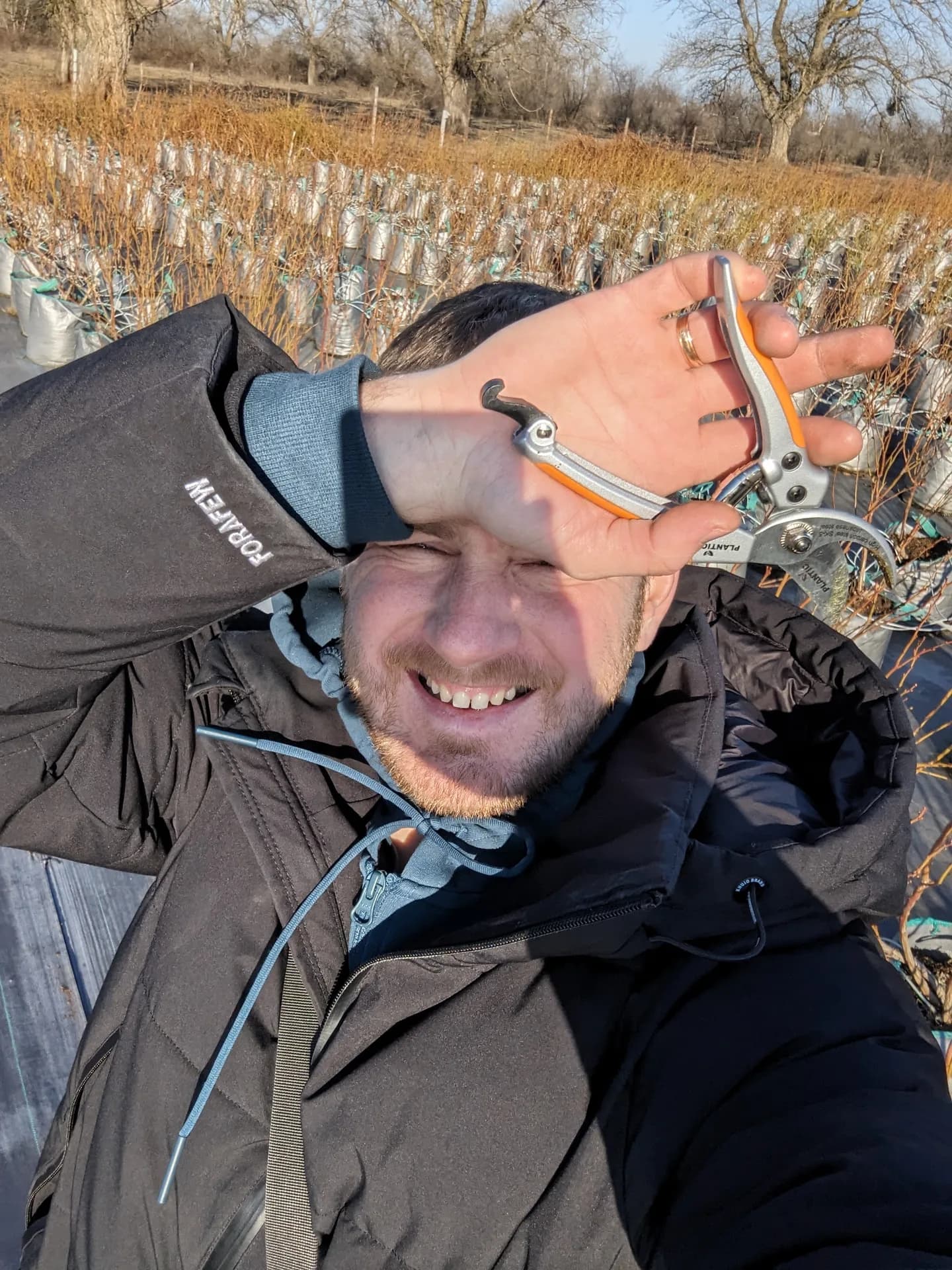 Весенняя обрезка голубики: когда и как обрезать, чтобы не потерять урожай